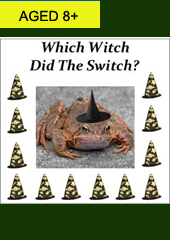 Which Witch Did The Switch